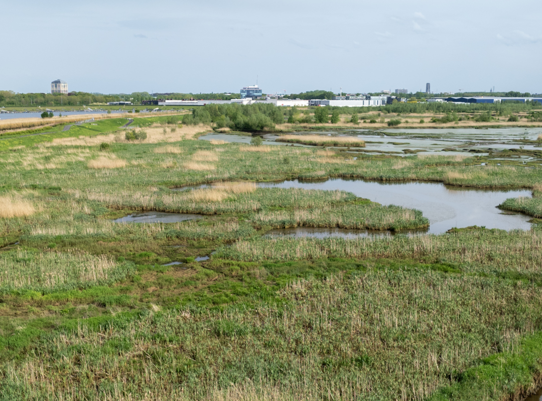 Actualiteitsdebat windturbine Battel