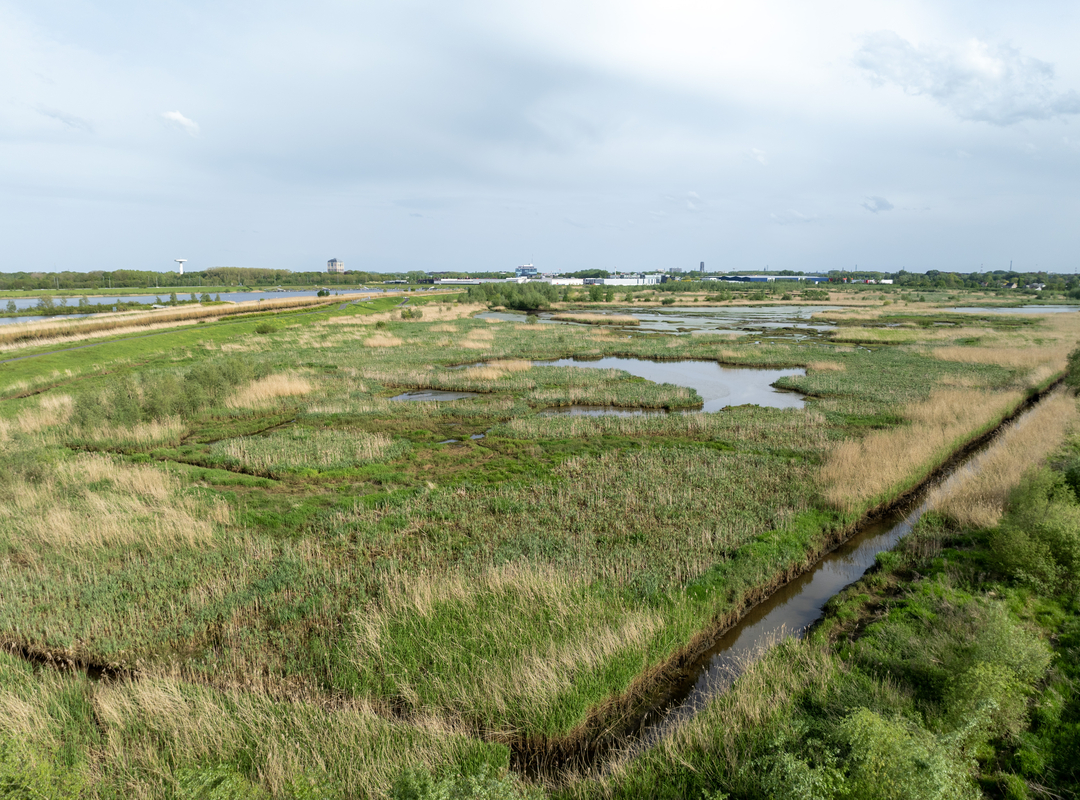 Landschap zonder windturbine