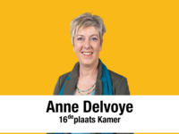 Anne Delvoye - 16de plaats Kamer